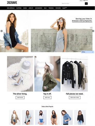 eCommerce website: 2020AVE