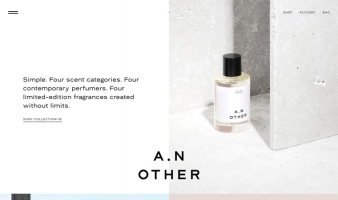 eCommerce website: A. N. Other