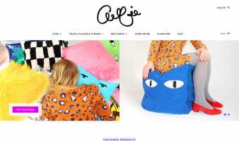 eCommerce website: Aelfie