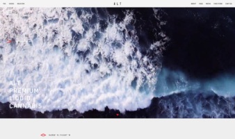 eCommerce website: ALT Life