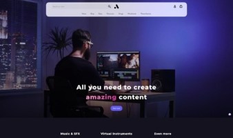 eCommerce website template: Artist