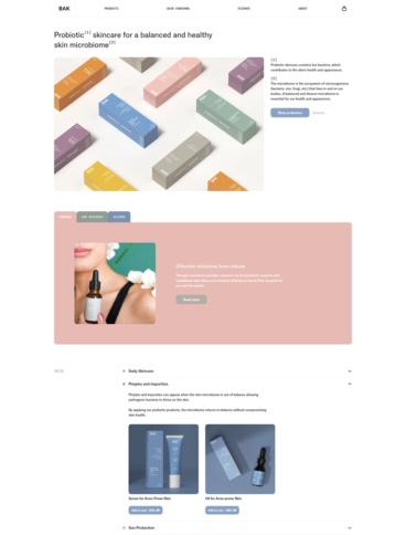 eCommerce website: BAK