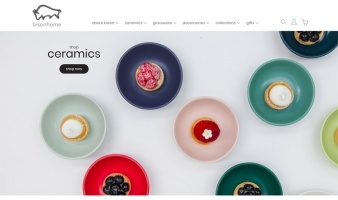 eCommerce website: Bisonhome