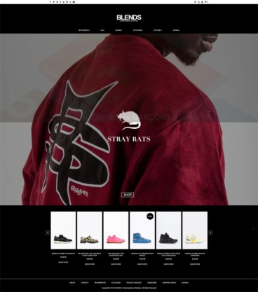 eCommerce website: Blends