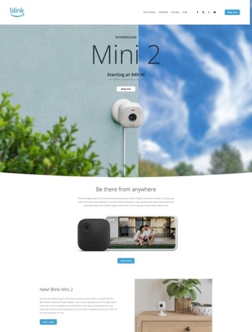 eCommerce website: Blink