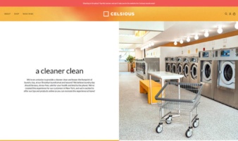 eCommerce website: Celsious