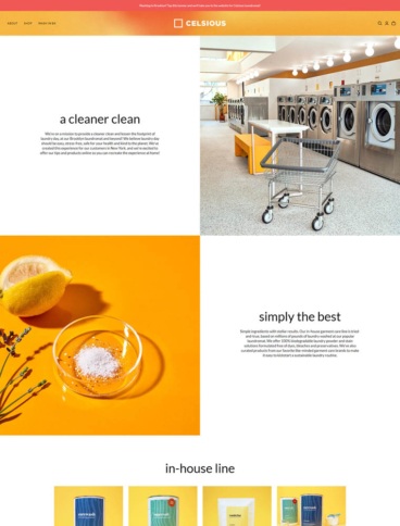 eCommerce website: Celsious