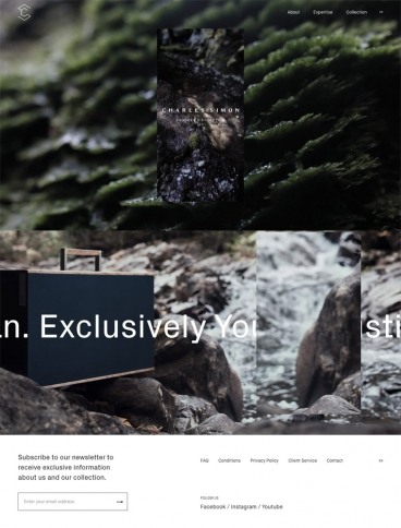 eCommerce website: Charles Simon
