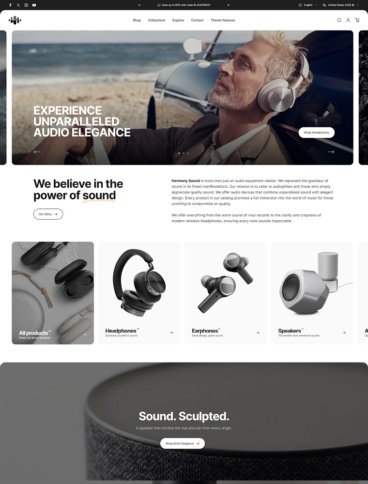 eCommerce website template: Concept