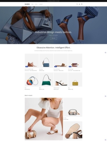 eCommerce website template: Dawn