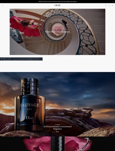 eCommerce website: Dior