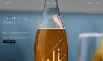 eCommerce website: Lili