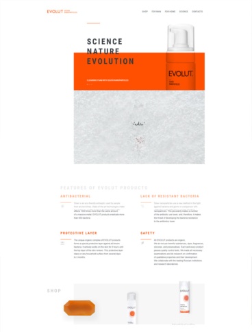 eCommerce website: Evolutsilver