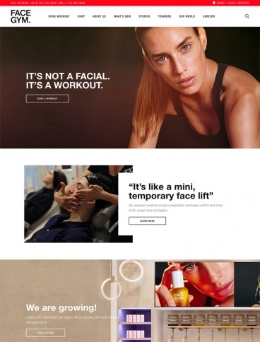 eCommerce website: FACEGYM