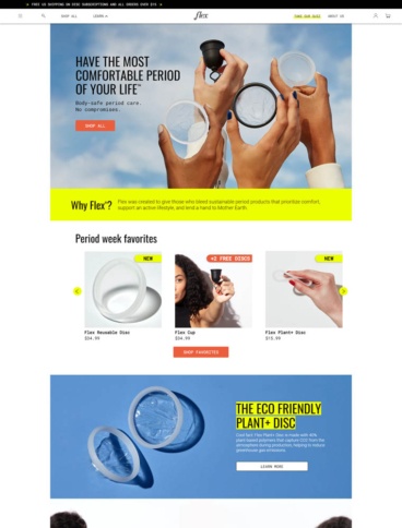 eCommerce website: Flex
