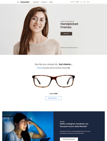 eCommerce website: Frames Buy