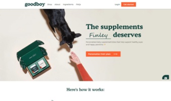 eCommerce website: Goodboy