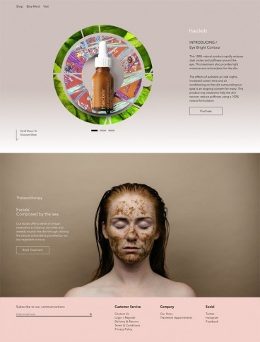 eCommerce website: Haeckels