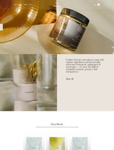 eCommerce website: Kind Stranger