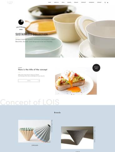 eCommerce website: LOIS the Store