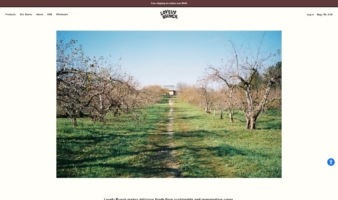 eCommerce website: Lovely Bunch