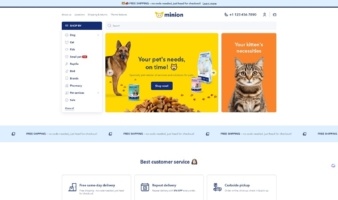 eCommerce website template: Minion