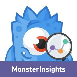 MonsterInsights logo