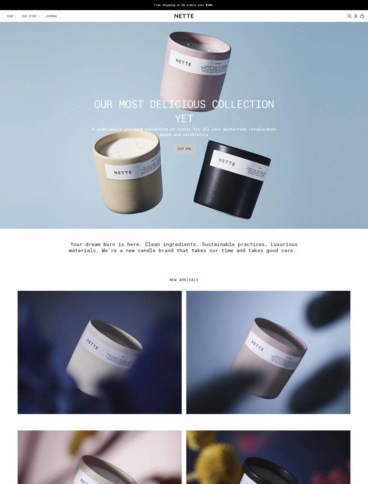 eCommerce website: Nette