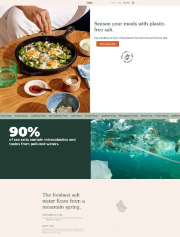eCommerce website: Only Salt