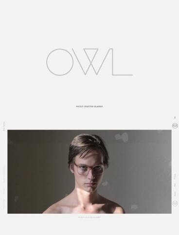eCommerce website: OWL