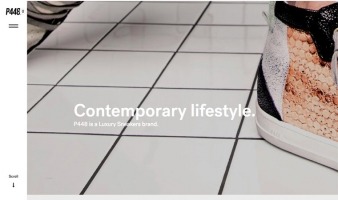 eCommerce website: P448