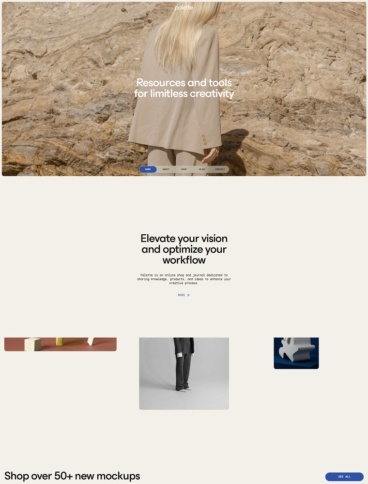 eCommerce website: Palette Supply