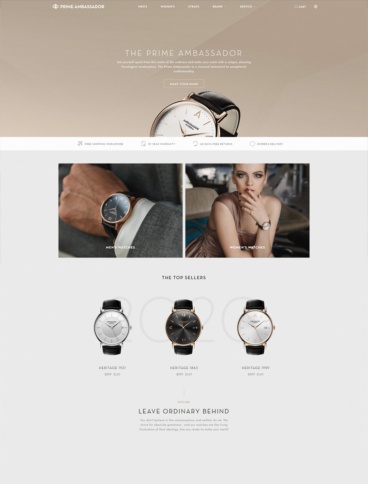 eCommerce website: Ambassador