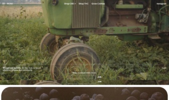 eCommerce website: Rose Delights