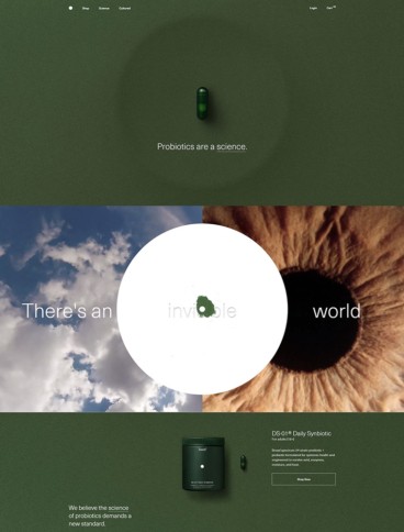 eCommerce website: Seed