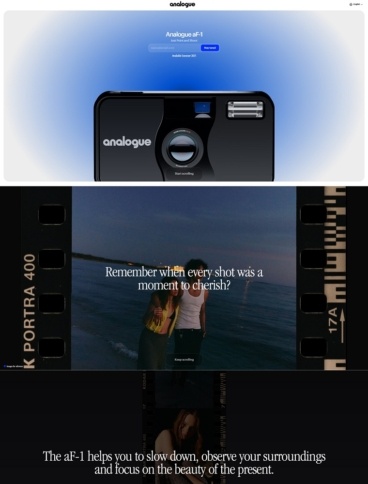 eCommerce website: ​The Analogue aF-