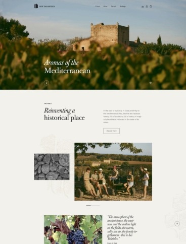 eCommerce website: Ses Talaioles