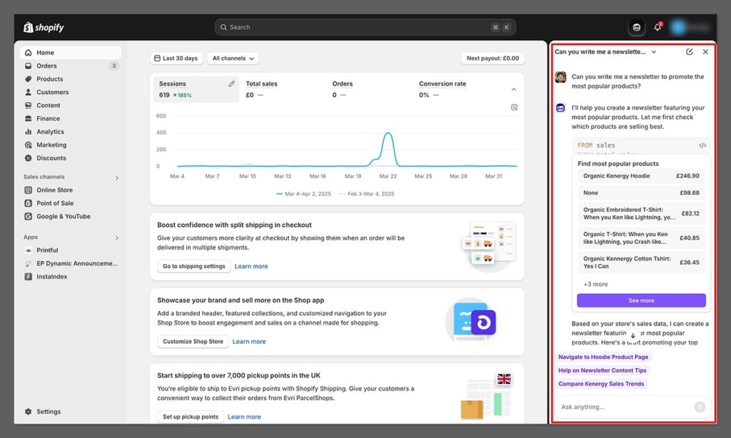 shopify magic example