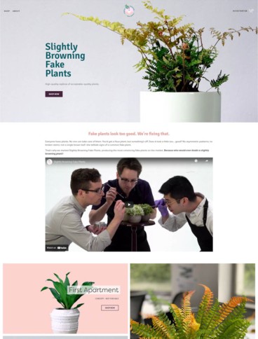 eCommerce website: Slightly Browning Fake Plants