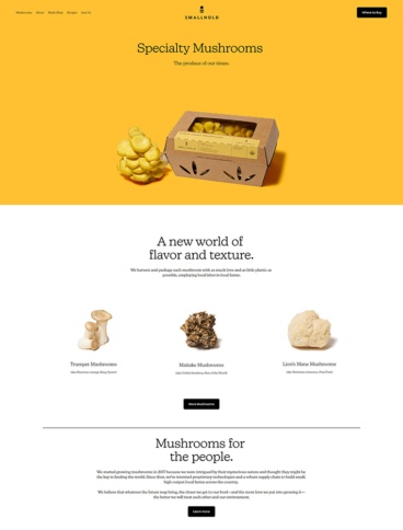 eCommerce website: Smallhold