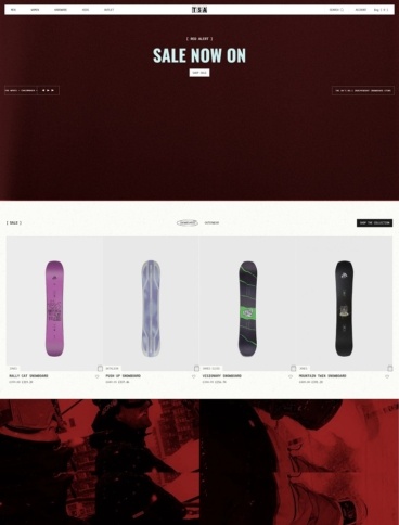 eCommerce website: The Snowboard Asylum