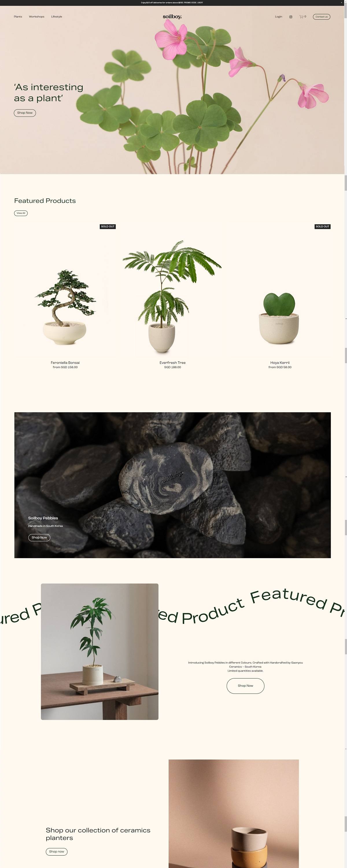 eCommerce website: Soilboy
