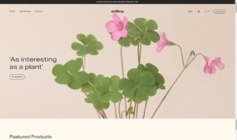 eCommerce website: Soilboy