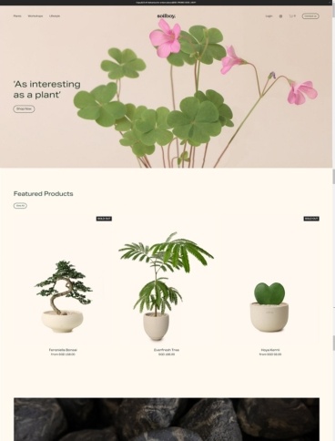 eCommerce website: Soilboy