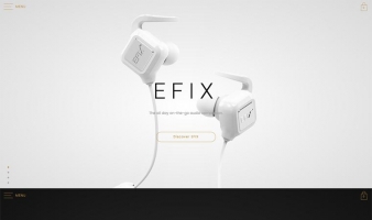 eCommerce website: Specter Wireless