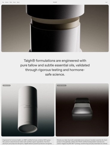 eCommerce website: Talgh