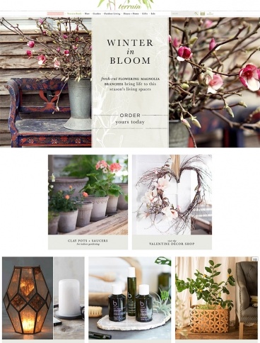 eCommerce website: Terrain