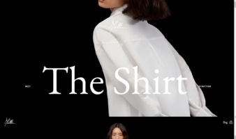 eCommerce website: The Shirt