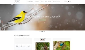 eCommerce website: Tim Laman Fine Art