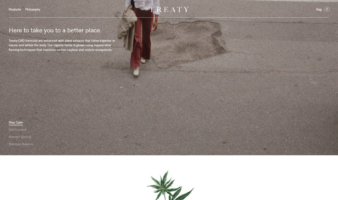eCommerce website: Treaty